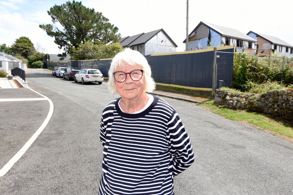 Valerie Nelson, 84, called the building site a 'dangerous eye-sore'