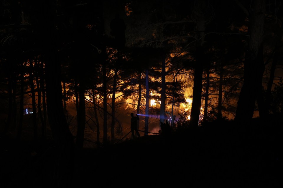 Firefighter teams work to extinguish flames in Turkey