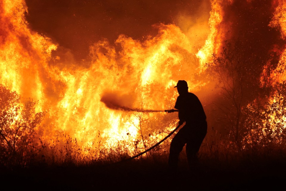 A firefighter with a hose desperately tries to contain a wildfire