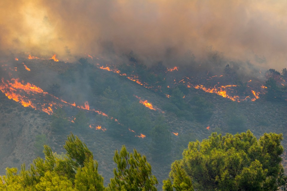 Flames rise, as a wildfire burns near the village of Malona, Rhodes