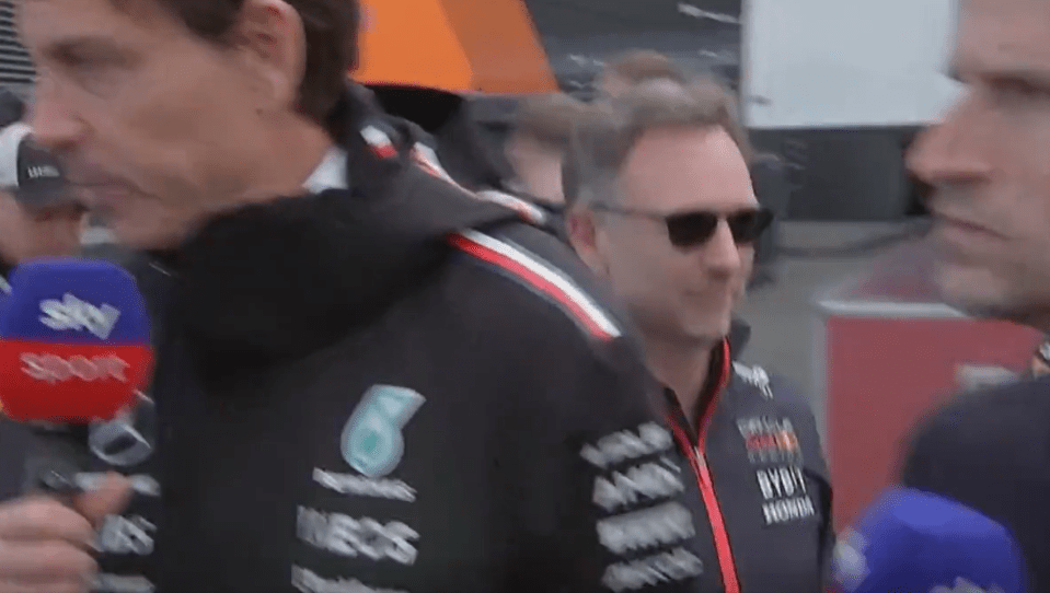 The Red Bull chief appeared to pinch Wolff during a Sky Sports interview