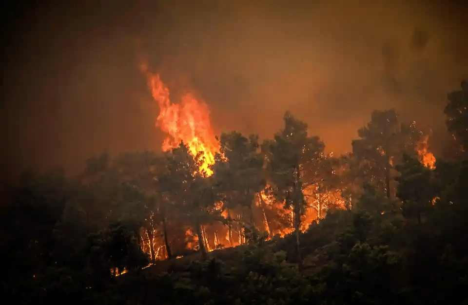 The intense wildfire saw up to 30,000 people fleeing the danger zone