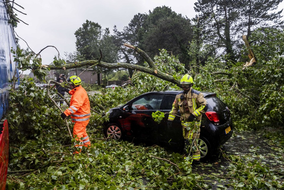 Firefighters cut free a damaged car from an uprooted tree in Haarlem, The Netherlands today as the storm hit