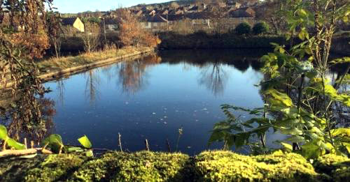 Centuries-old ponds have been concreted over as part of the project