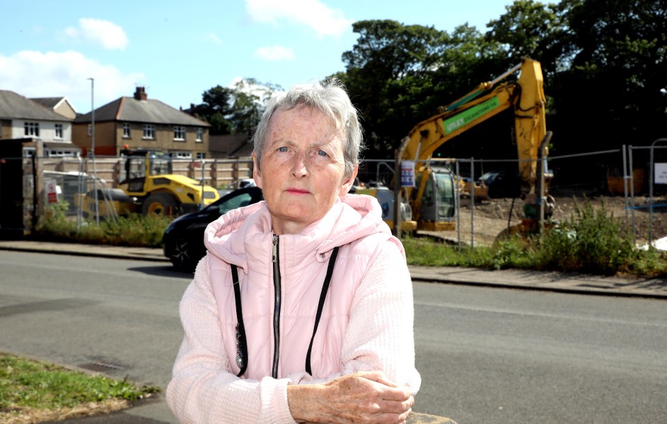 Helen Kirby blasted the newbuild estate as a 'disgrace'