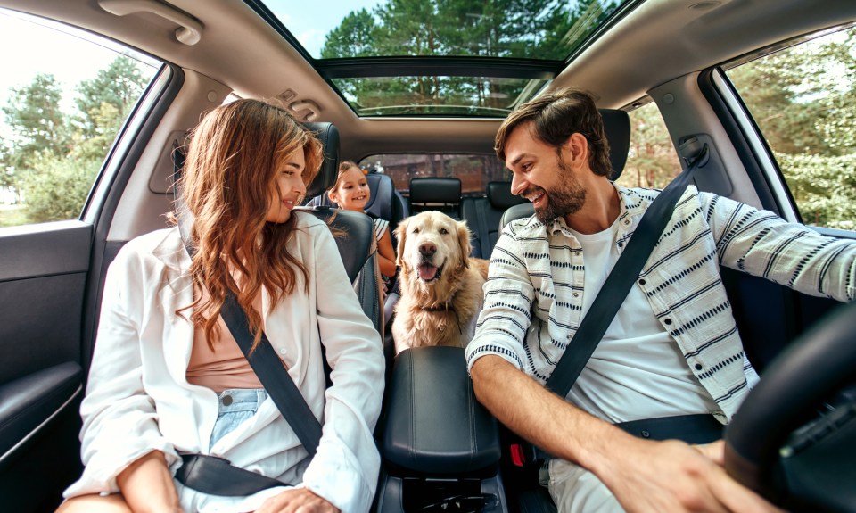 Drivers need to be careful of little known motorway rules - particularly when travelling with pets in the car