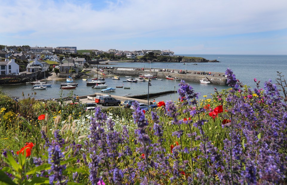 People have been urged to avoid bathing at a popular Anglesey beach for 72 hours