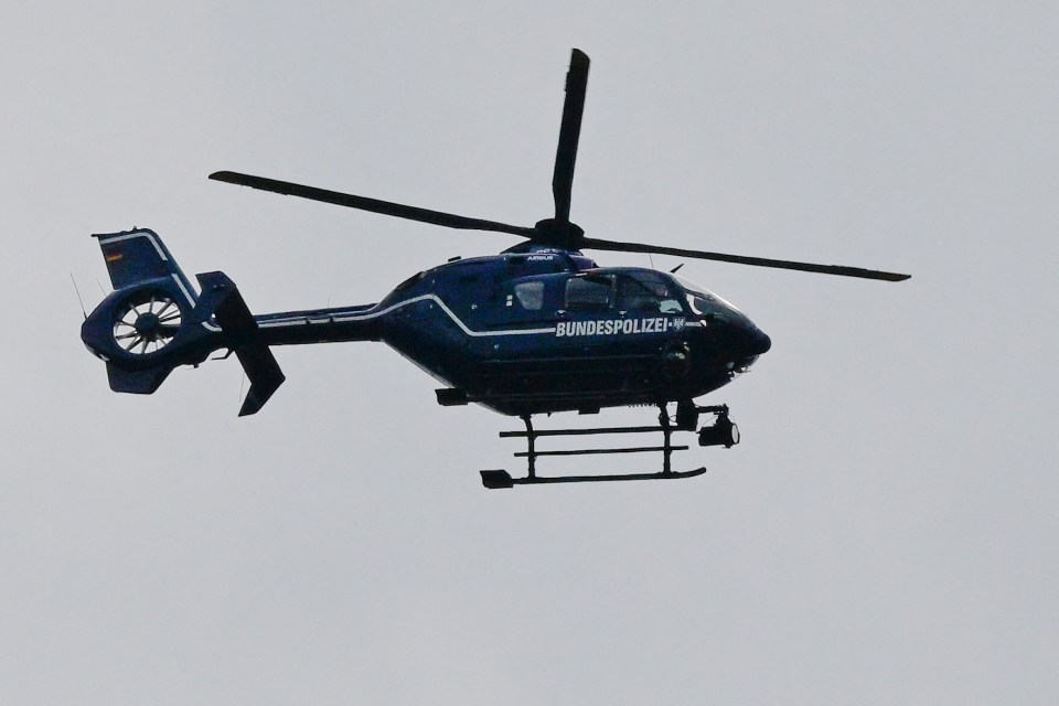 A police helicopter was scouring the area looking for the missing animal earlier today