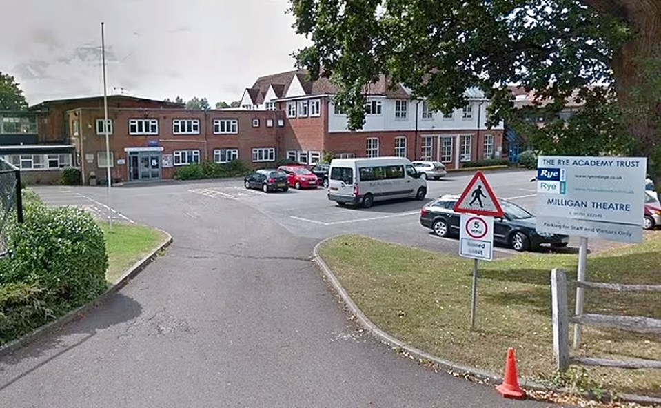 Rye College has passed an urgent Ofsted inspection after an incident in which a teacher scolded a child for questioning a classmate who identified as a cat