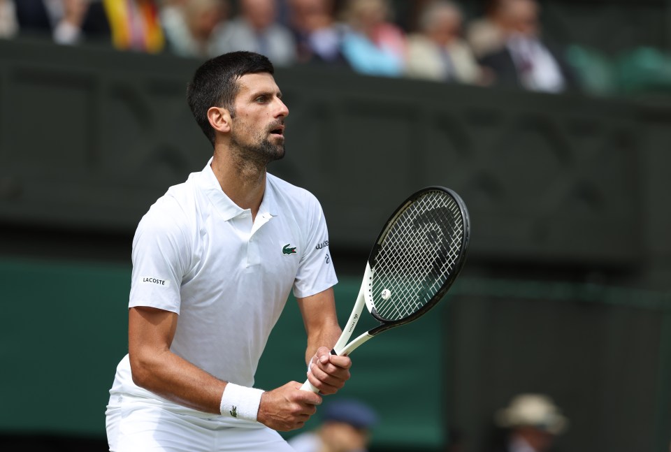 Novak Djokovic could quit tennis in the next couple of years, claims his father