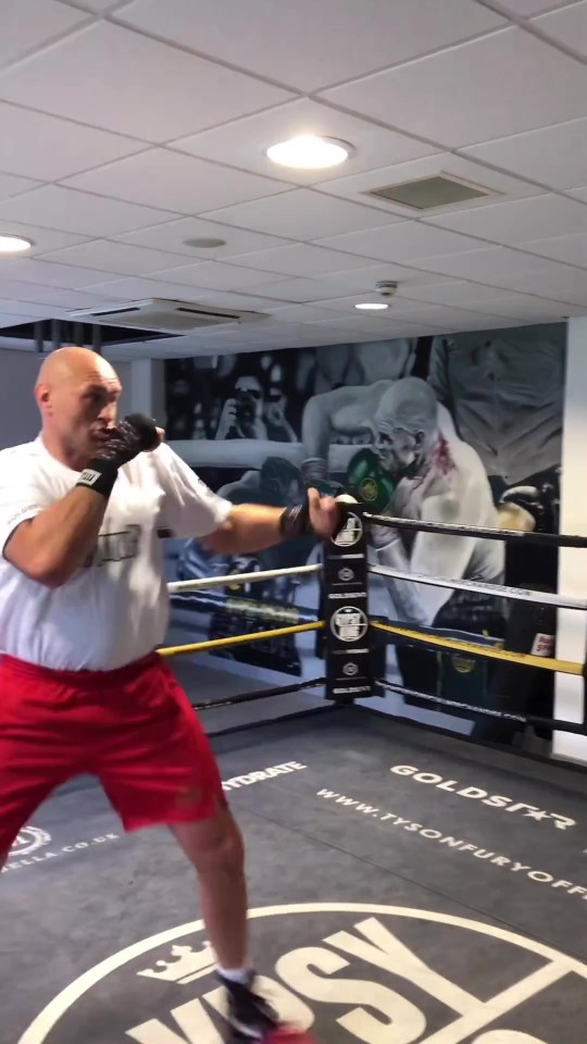 Tyson Fury has hit the gym since his bout with MMA star Francis Ngannou was announced