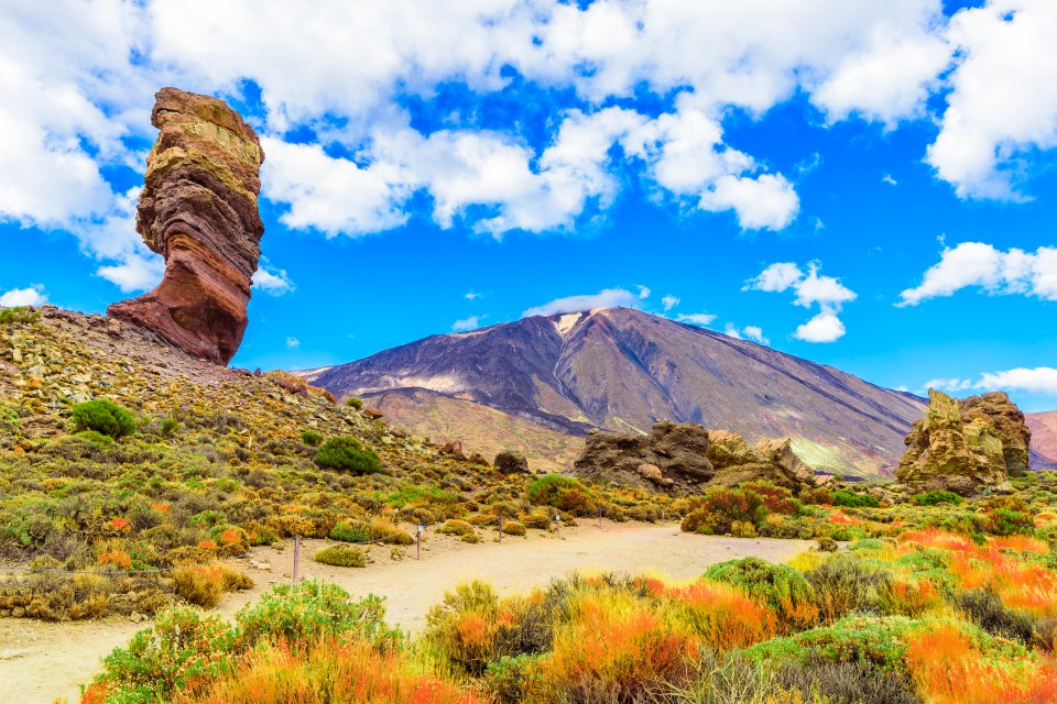 Tourists could be slapped with a fine for parking in prohibited areas in natural parks