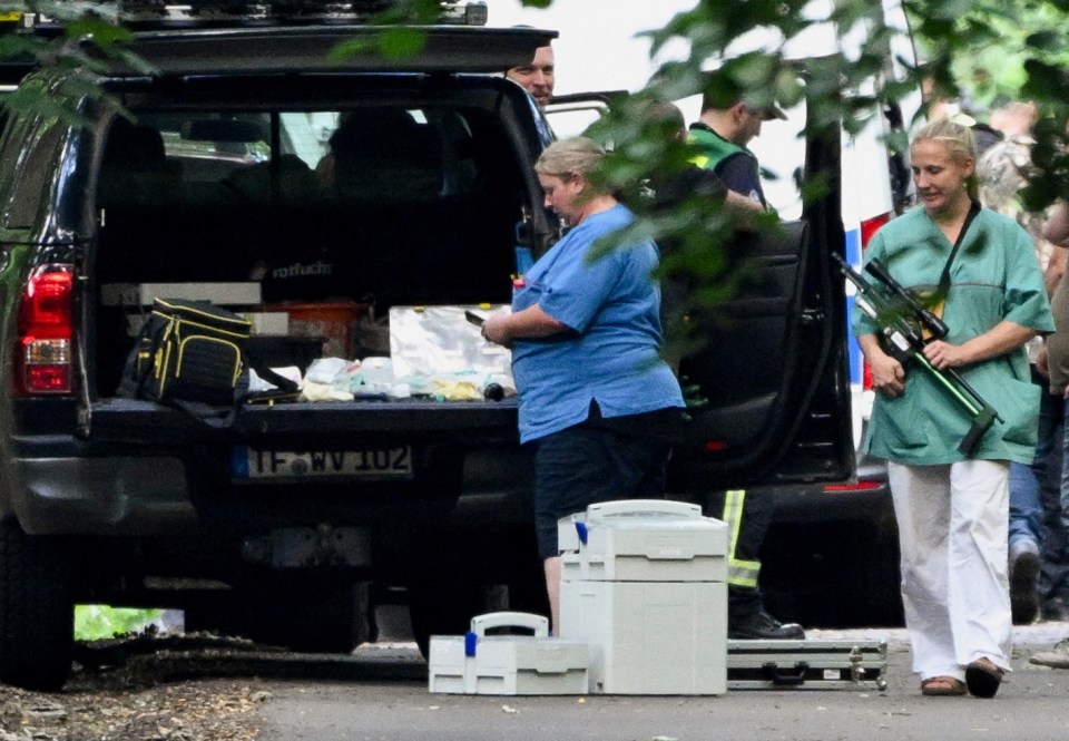 A vet is pictured carrying a tranquiliser gun as authorities want to capture the lioness safely