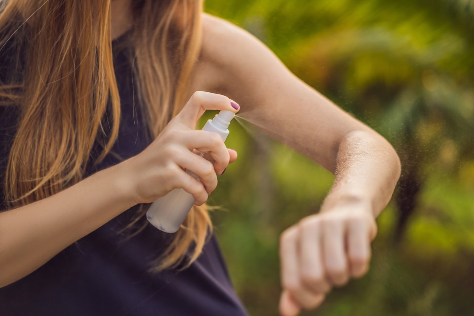 I tested out the £4 trick used by mums to keep mosquitoes at bay (stock image)