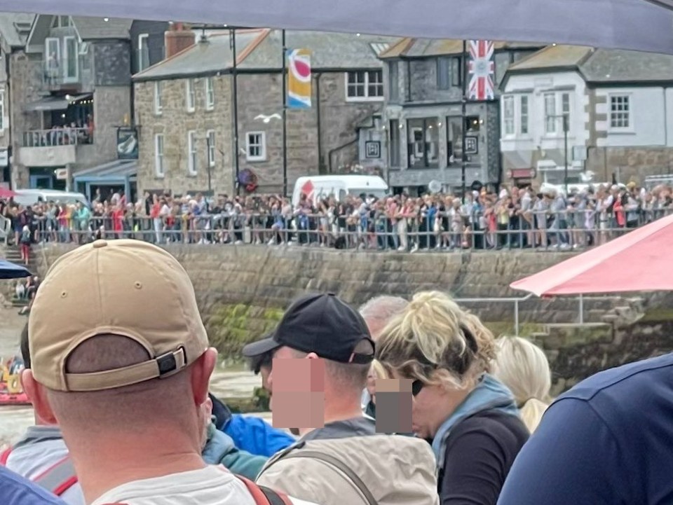 Crowd of horrified tourists looked on as marine vets battled to save the dolphin