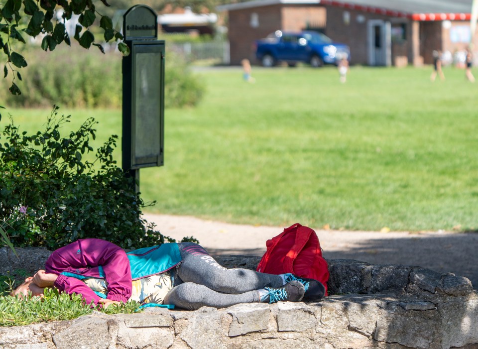 A woman is pictured passed-out in a flower bed at a local park