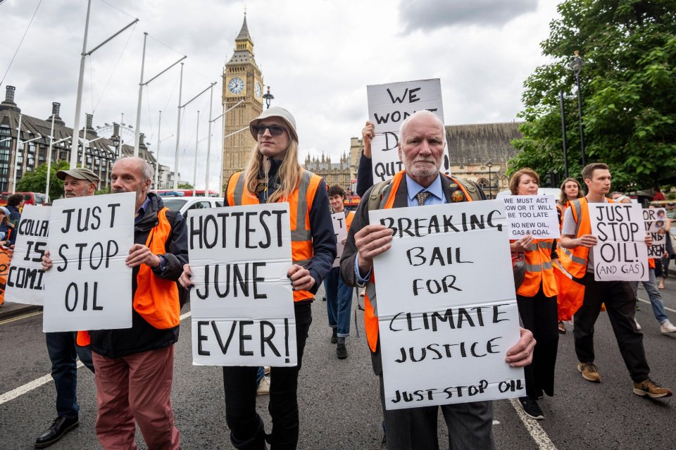 Just Stop Oil protesters are recruiting sympathetic professors to join them in an autumn campaign of disruption at universities