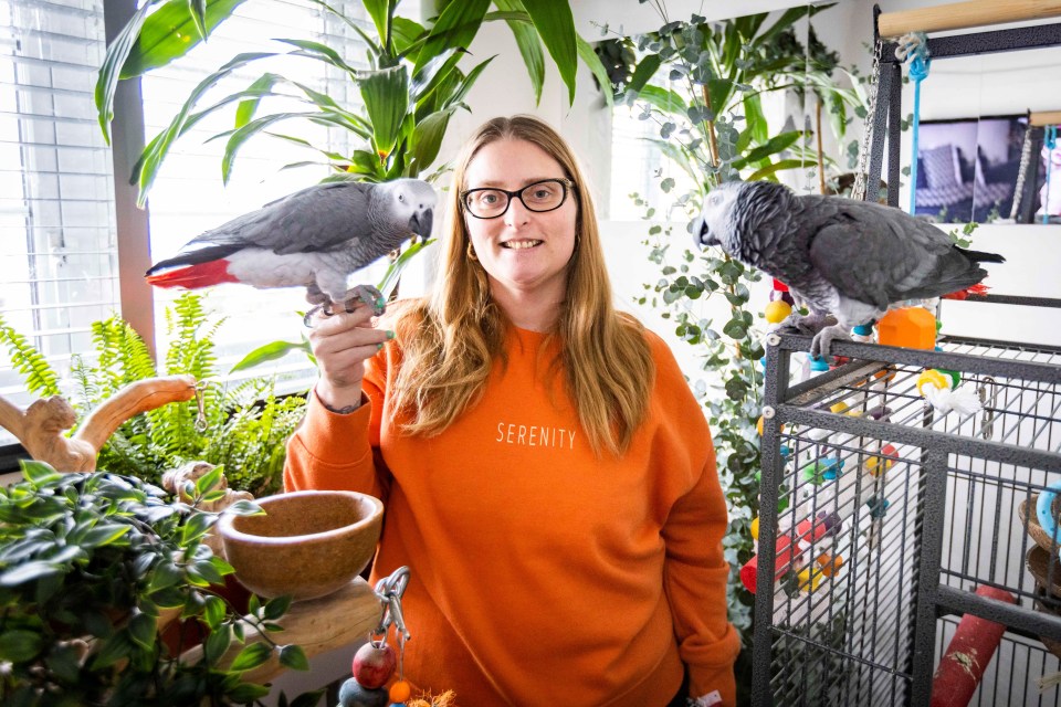 Lesley Herbert, 44, made sure her two parrots were living in a luxury with their own fully air conditioned room at her five-bed mansion in Basingstoke