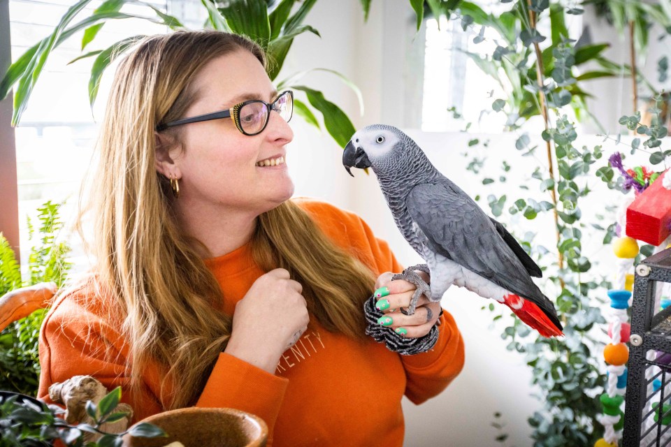 The room features specialist flooring, toys, plants and apparatus to keep them entertained