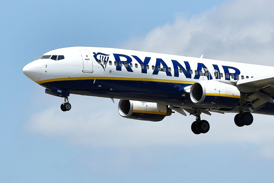 Ryanair add certain charges onto their basic fares to make them much more expensive