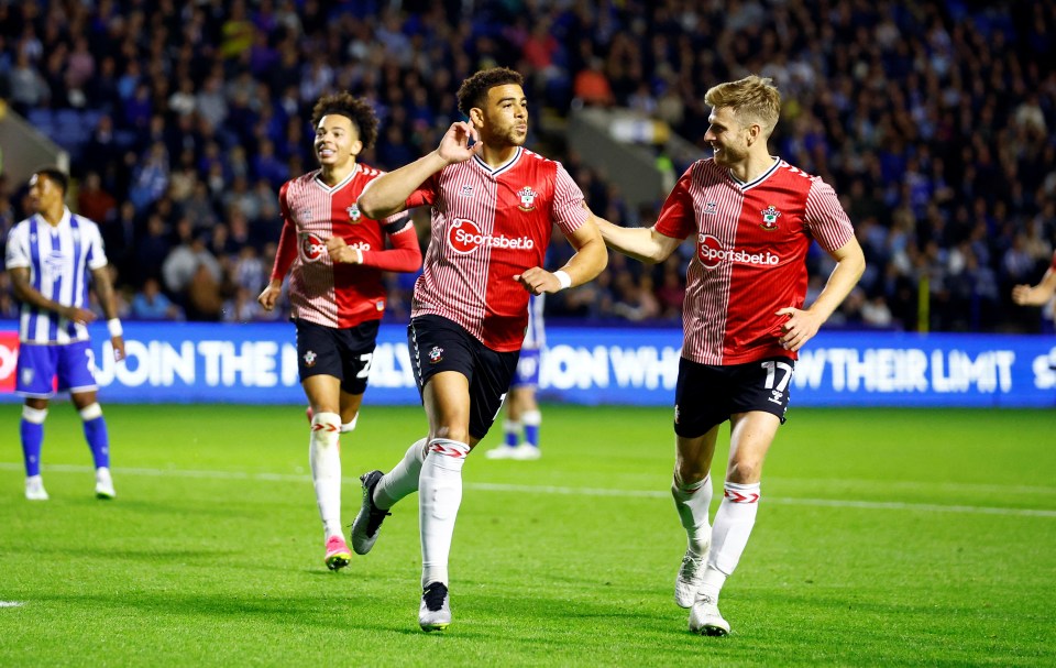 Late sub Che Adams celebrates his winner for relegated Southampton