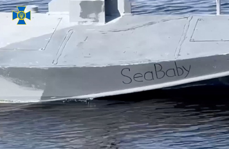 The "Sea Baby" drone, pictured here, is responsible for the strike