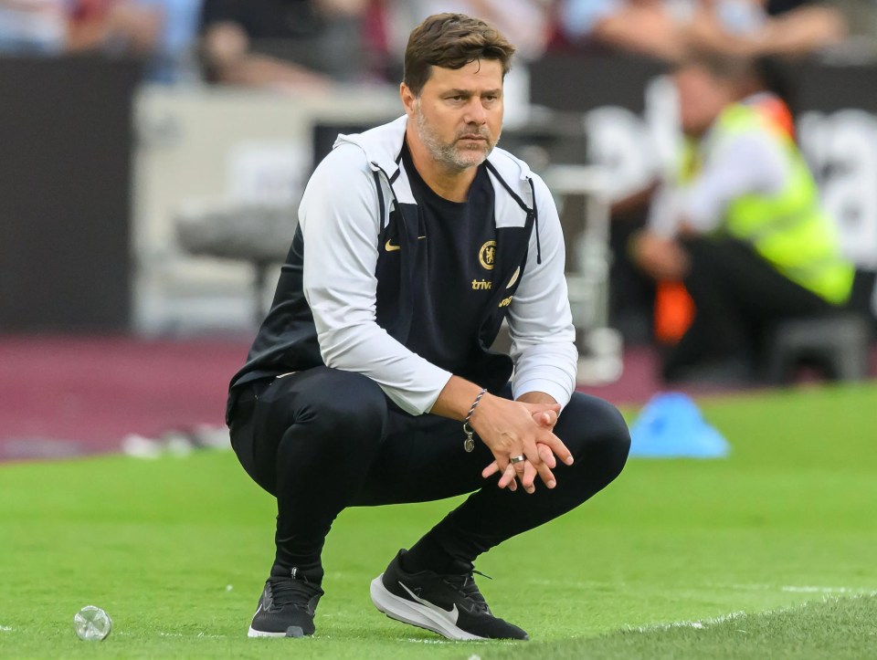 Mauricio Pochettino wants to trim his squad before the end of the transfer window