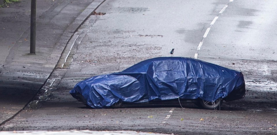 The couple were trapped in their car before sadly passing away