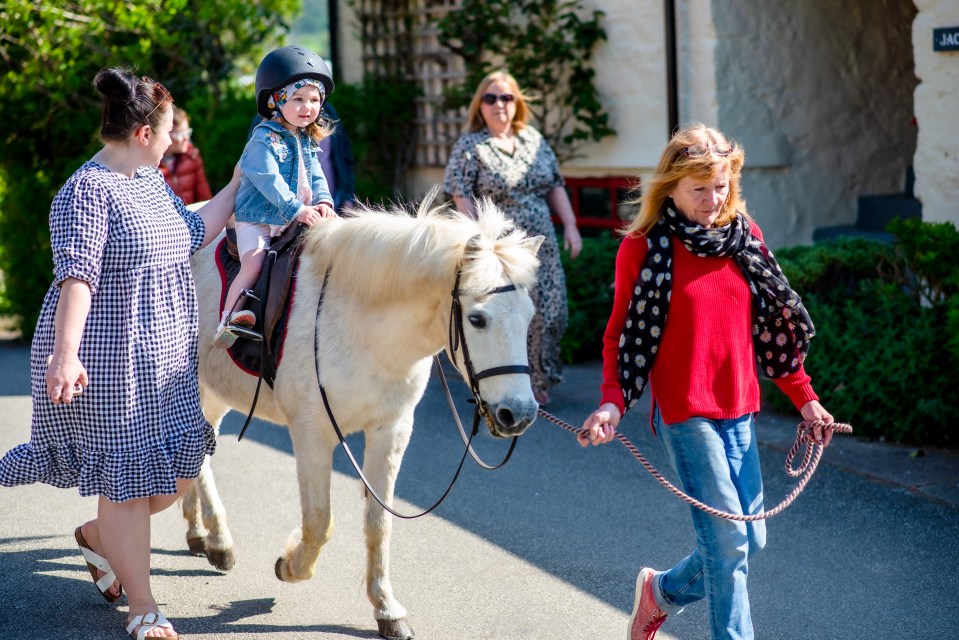 Giddy up for pony-riding sessions