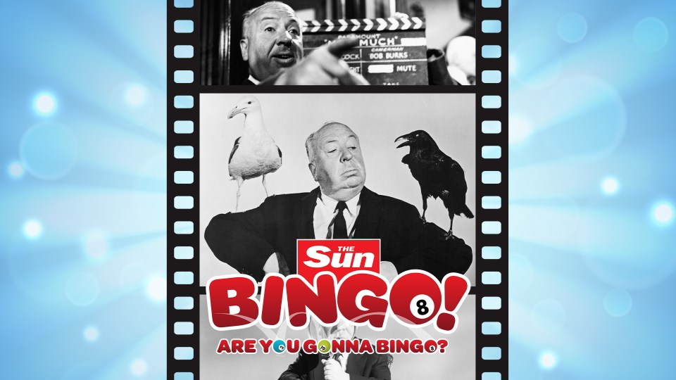 a poster for the sun bingo showing a man holding a bird