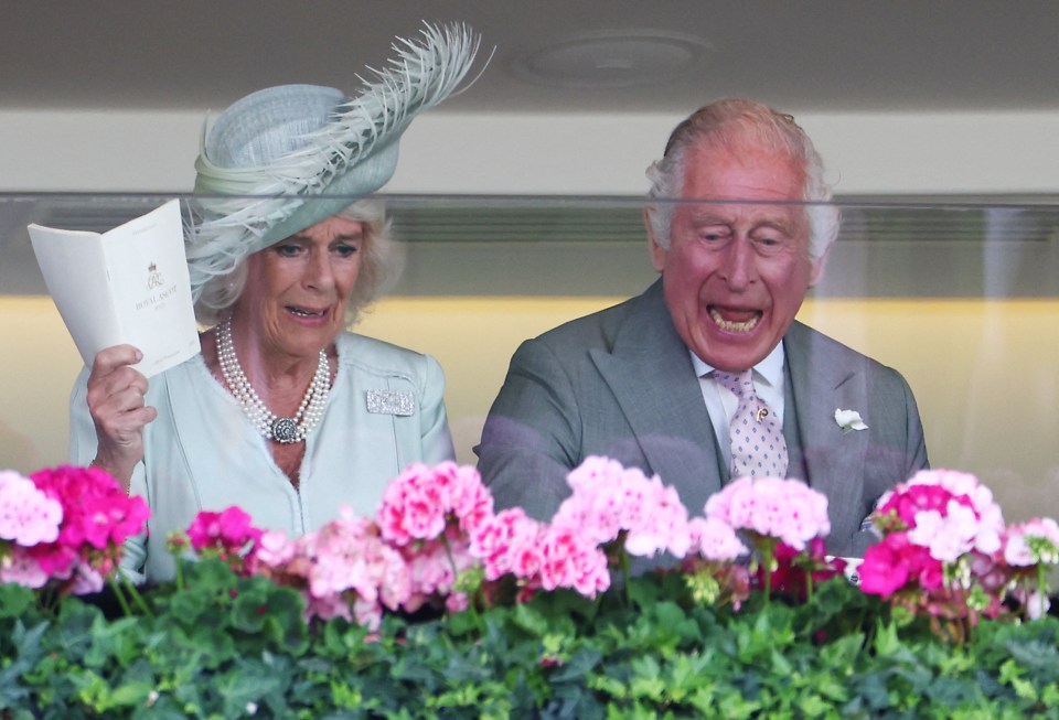 King Charles and Queen Camilla cheer home Desert Hero at Royal Ascot