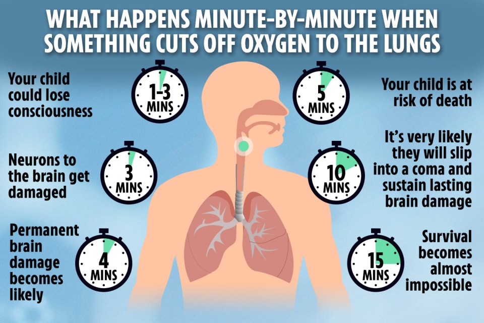 The brain begins to incur damage after mere minutes of oxygen not reaching it, according to Tiny Hearts Education