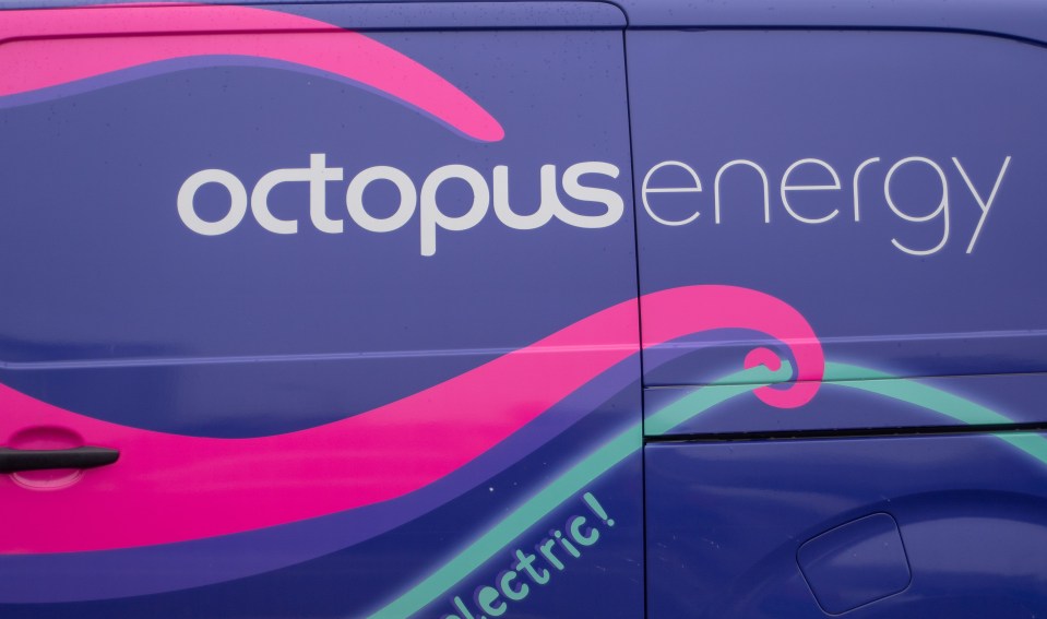 Thousands of Octopus Energy customers will see their bills rise next month