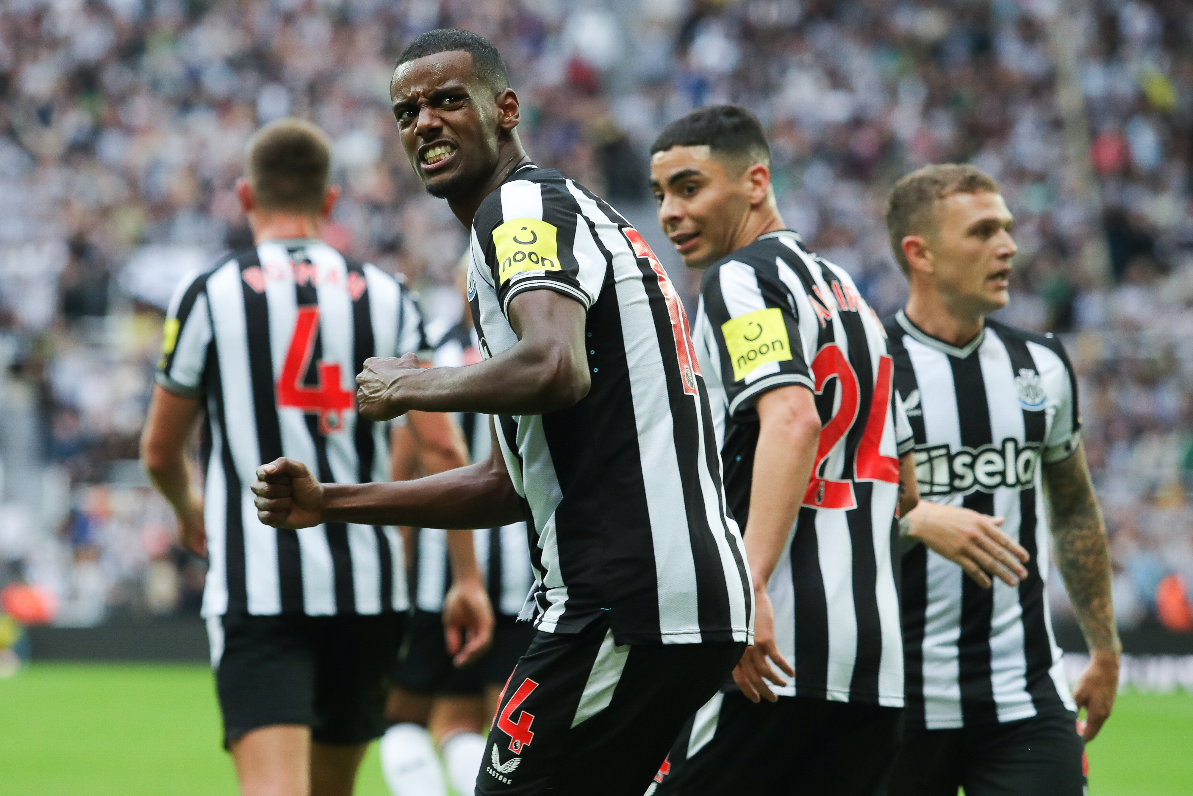 Newcastle are back in the Champions League after 20 years