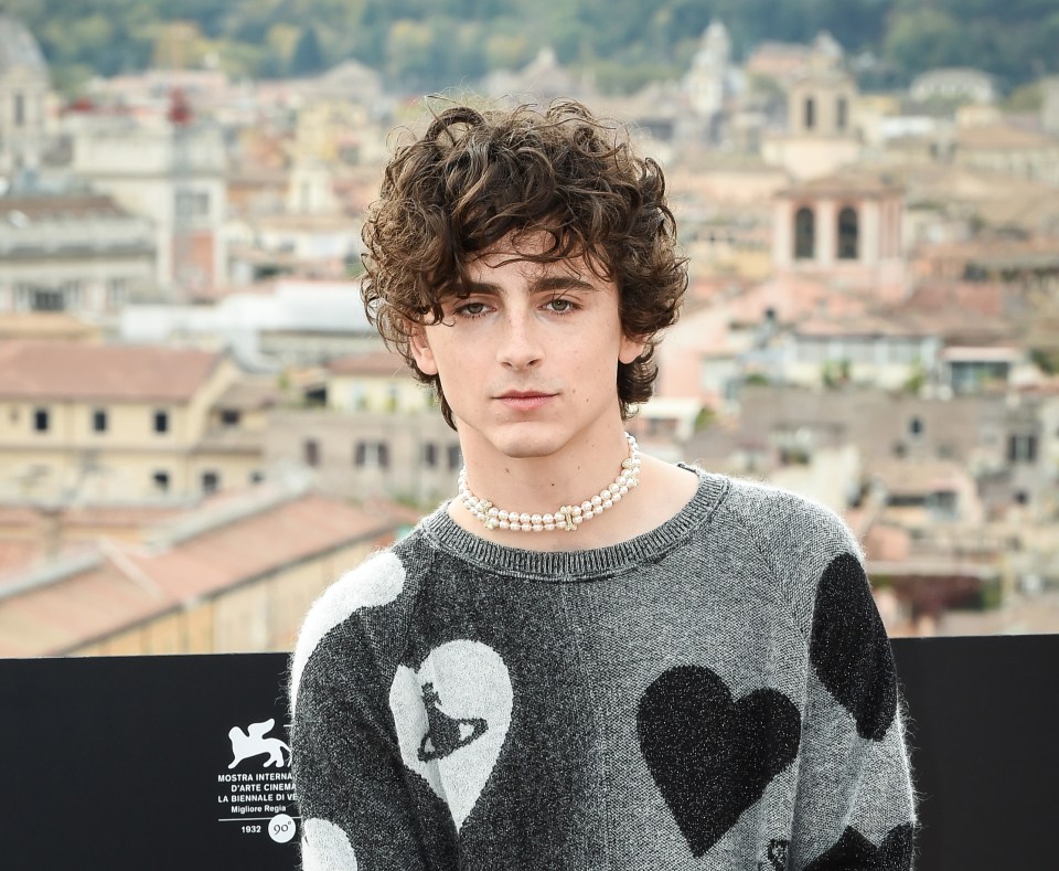 Kylie Jenner and Timothee Chalamet, above, have not split, according to pals