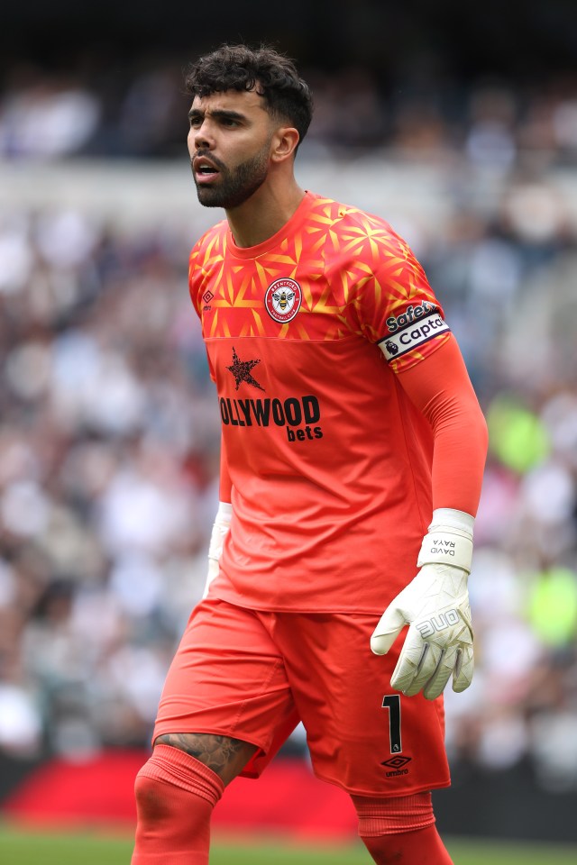 Arsenal have completed the loan signing of David Raya from Brentford