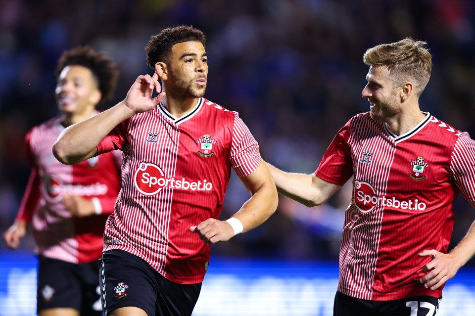 Che Adams is wanted by Crystal Palace after scoring the winner in Southampton's Championship bow