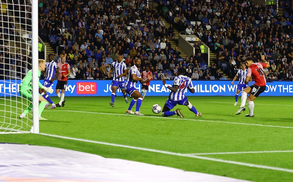 Striker Adams slots his clincher to devastate the promoted Owls