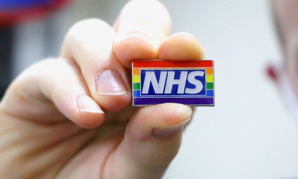 The NHS Rainbow Badge scheme seems to prove how the an institution can become dominated by groupthink