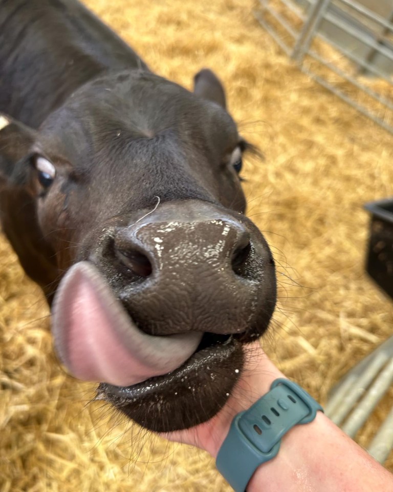 Graeme was happy to muck in on the farm