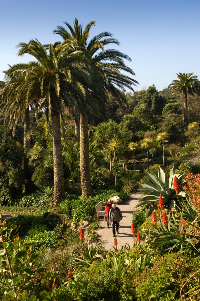 Guests can explore the sub-tropical Tresco Abbey Gardens, which is home to over 20,000 plants from around the world