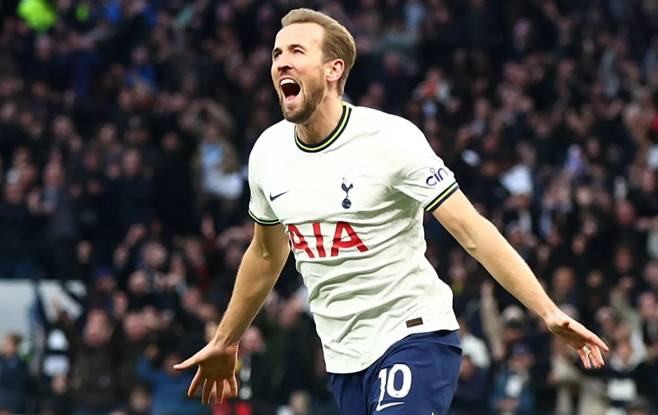 Harry Kane could yet decided against moving to Bayern Munich