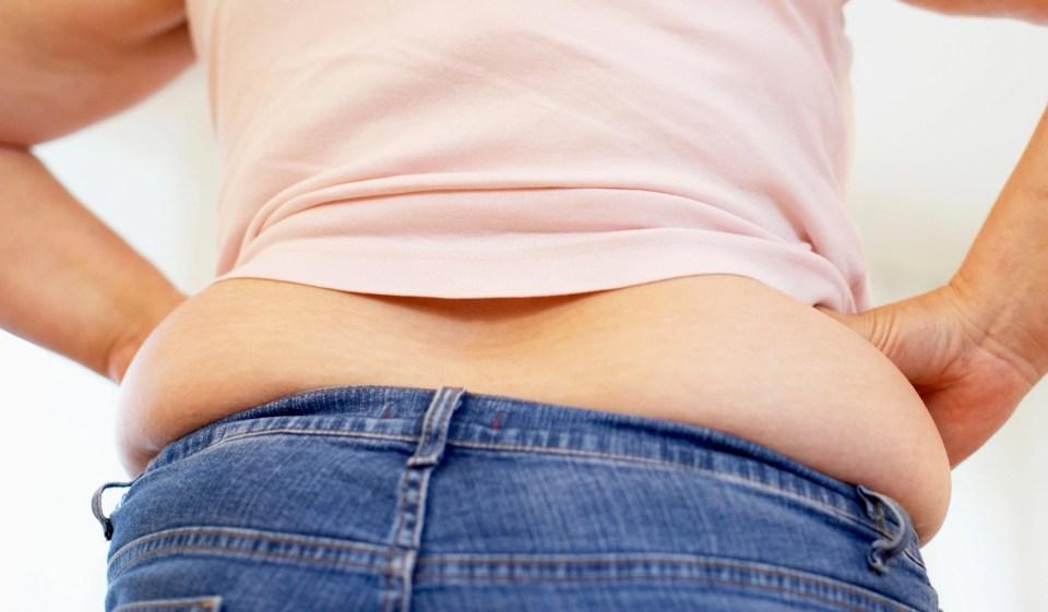 ‘Love handles’ refers to excess fat stored on the waist and hips