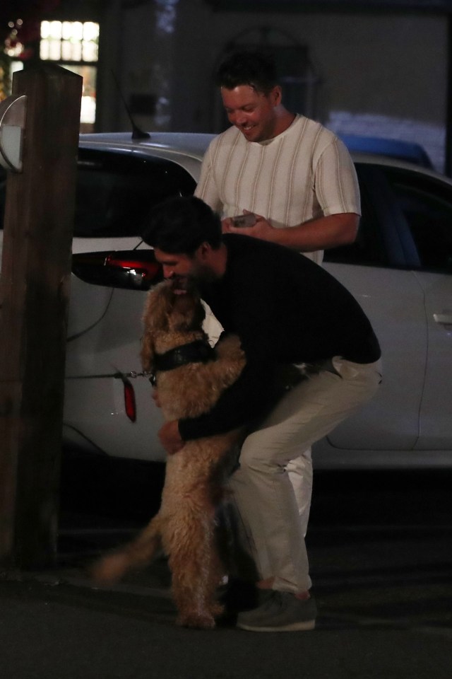 The pair bought the goldendoodle pooch together and lived with it in their home