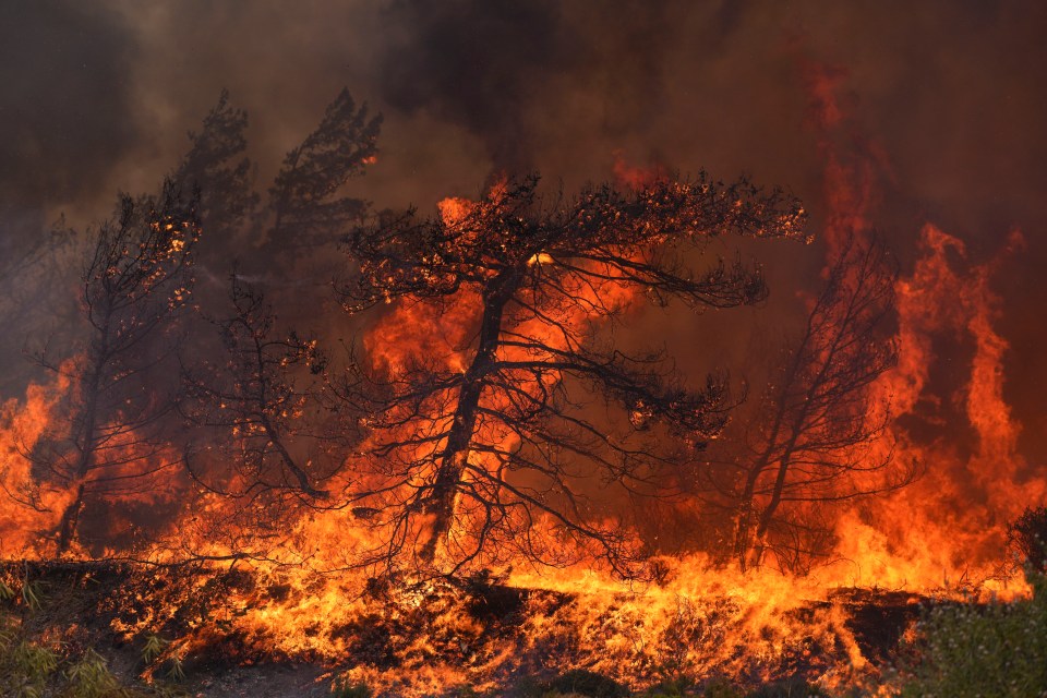 Flames burn through a forest in Vati village on the island of Rhodes