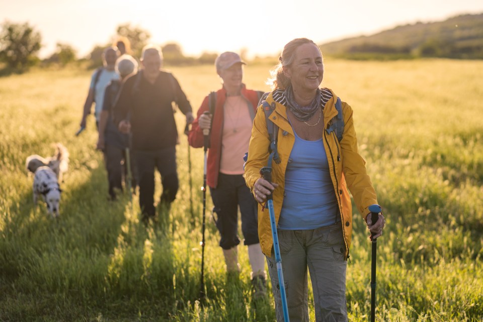 Activity helps keep blood vessels more flexible, which in turn helps keep blood pressure down