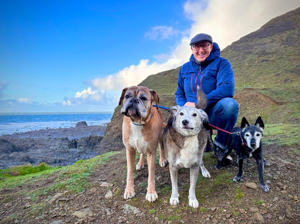 The animals on the farm made a change from the badly behaved dogs Graeme usually works with