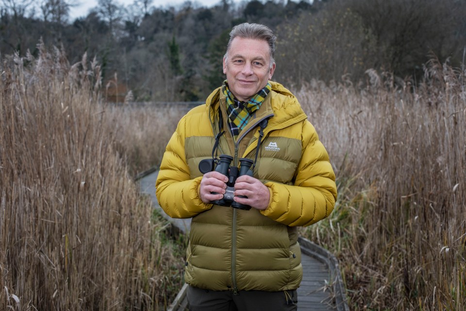 Chris Packham has been reported to the police