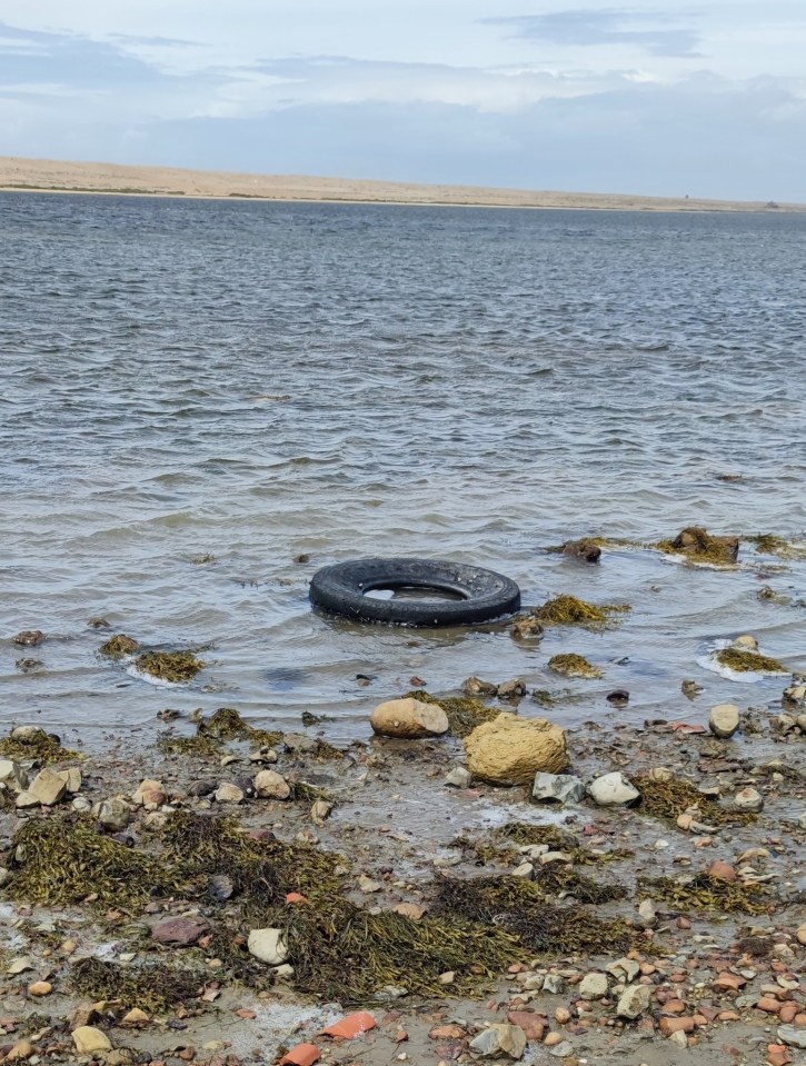 A tractor tyre was discarded in the water last month