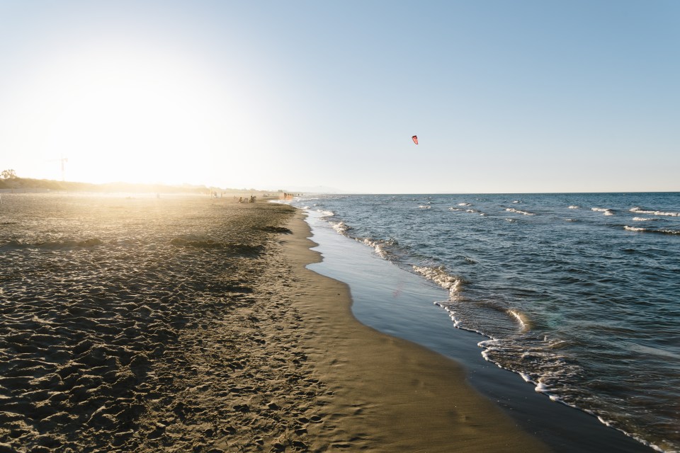 The attack happened at a beach in Oliva, Valencia, Spain